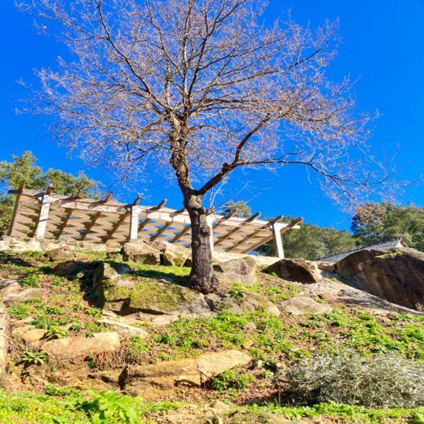 Paiva Valley Alvarenga Bagian luar foto
